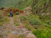 20140316_Teneriffa_031