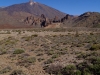 20140318_Teneriffa_008