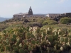 20140319_Teneriffa_040