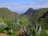 20140320_Teneriffa_004