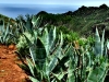 20140320_Teneriffa_U_035