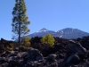 20140321_Teneriffa_002