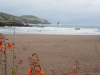 20150727_ConorPass_033