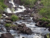 20150729_Kenmare_016