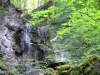 20150513_Schluchtensteig_012.jpg
