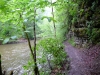 20150514_Schluchtensteig_028.jpg