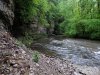 20150514_Schluchtensteig_031.jpg