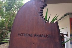 2016_Fuerteventura