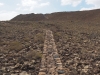 20160216_Fuerteventura_005