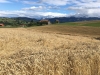 20170725_Schwarzenburg_001