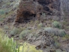 20170918_GC_Teneriffa_143