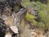20170918_GC_Teneriffa_161