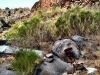 20170918_GC_Teneriffa_163