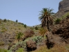 20170918_GC_Teneriffa_226