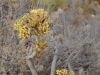 20170921_GC_Teneriffa_422_1