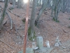 20180204_PoncioneDArzo_004