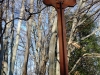 20180204_PoncioneDArzo_007