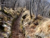 20180204_PoncioneDArzo_023