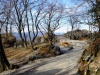 20180204_PoncioneDArzo_034