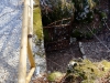 20180204_PoncioneDArzo_037