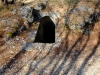 20180204_PoncioneDArzo_042