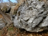 20180204_PoncioneDArzo_053