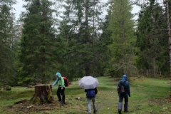 2019_Glaciere_de_Monlesi