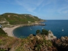 Jersey_145