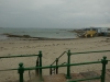 Jersey_183