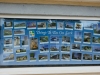 Sark_055