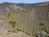 20190222_LaPalma_073_2