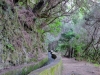 20190224_LaPalma_156_2