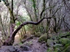 20190224_LaPalma_211_2