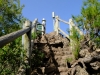 20190224_LaPalma_235_2