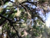 20190225_LaPalma_039_2