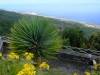 20190301_LaPalma_032_2