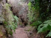 20190301_LaPalma_036_2