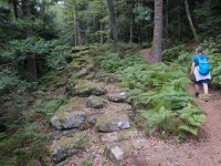 20210914_Elsass_019