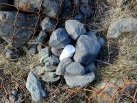 20210512_Island_025