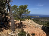20220520_Mallorca_013