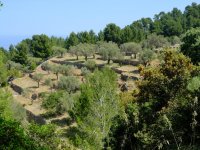20220521_Mallorca_014