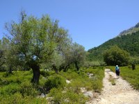 20220528_Mallorca_010