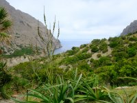 20220530_Mallorca_009