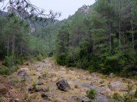 20220308_Catalunya_009