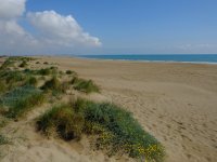 20220309_Catalunya_002