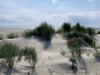 2024_Langeoog__012