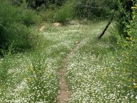 20240513_Korsika_019