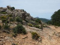 20240514_Korsika_018