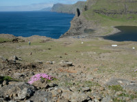 20250521_Faeroeer-Inseln_030