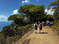 20260914_Elba_010